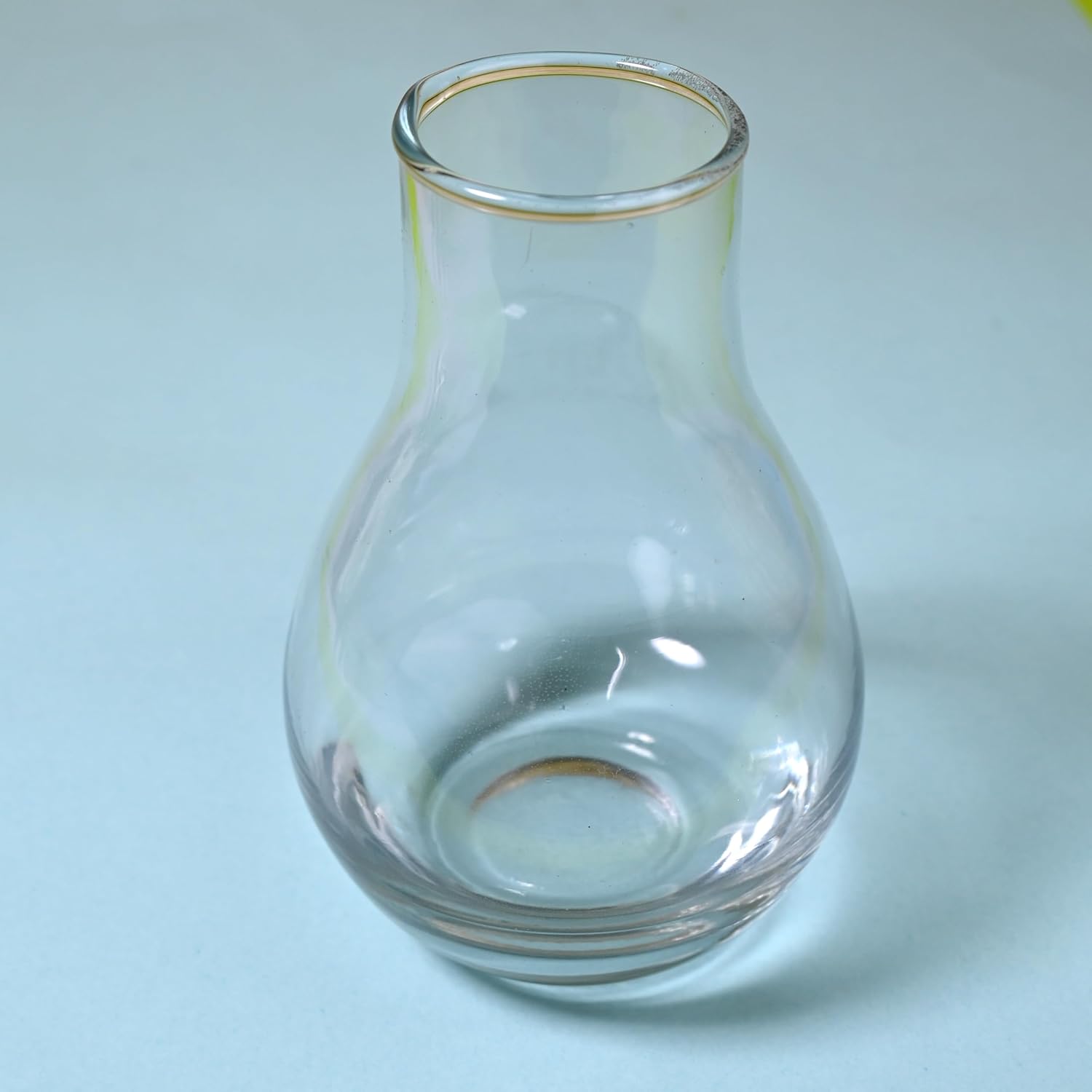 Clear Teardrop Glass Vase Set of 2 – Decorative Bud Vases