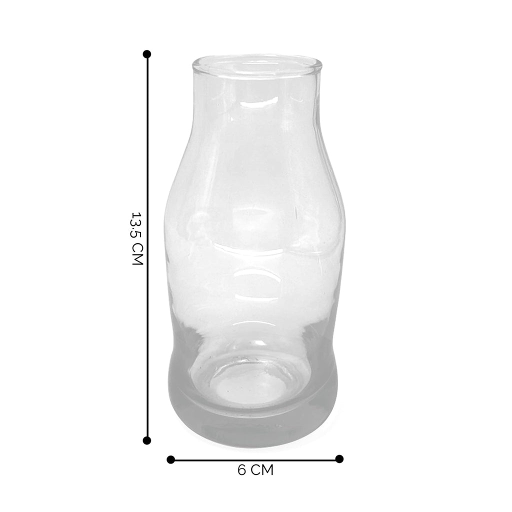 Tall Clear Glass Bottle Vase Set of 2 – Decorative Tabletop Flower Vases