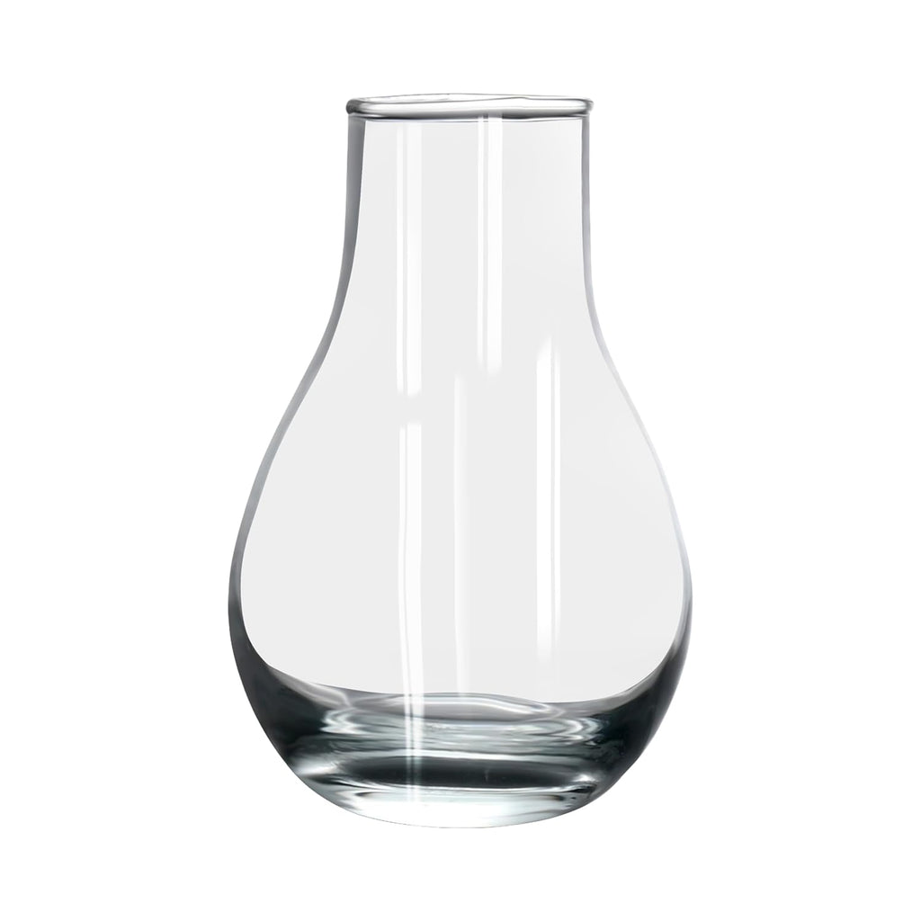 Clear Glass Flower Vase Set of 2 – Assorted Curved Tabletop Vases