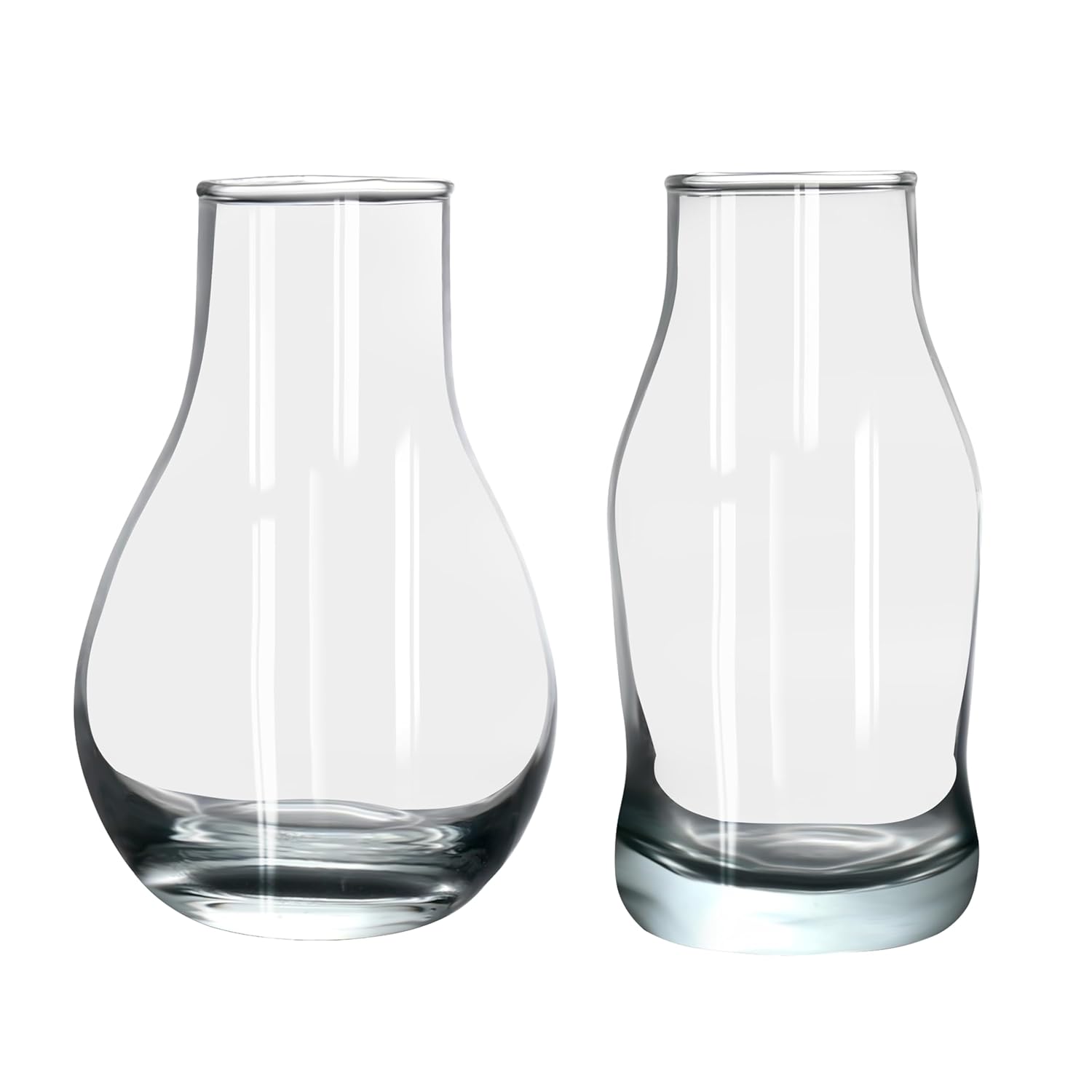 Clear Glass Vase Set of 2 – Assorted Rounded & Tall Tabletop Flower Vases