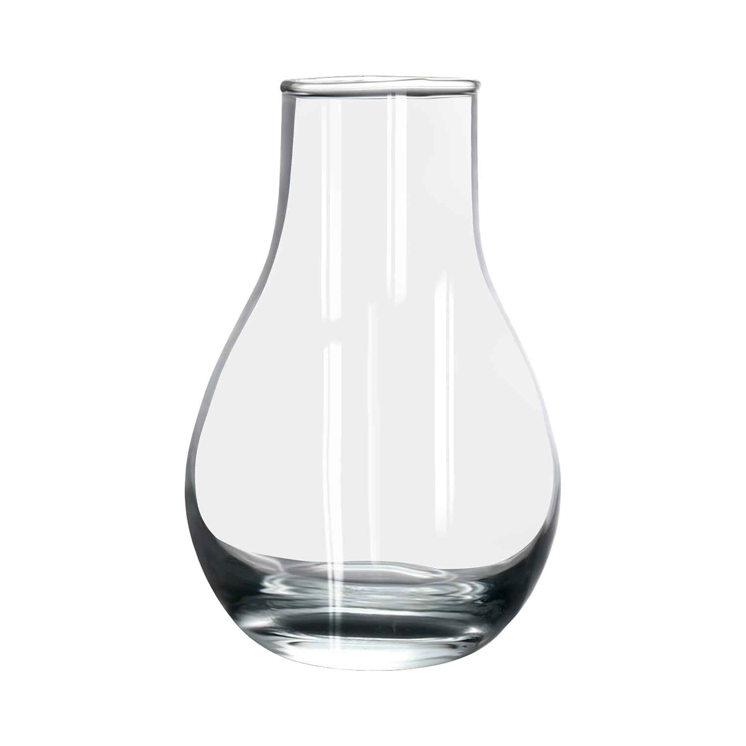 Clear Glass Vase Set of 2 – Assorted Rounded & Tall Tabletop Flower Vases
