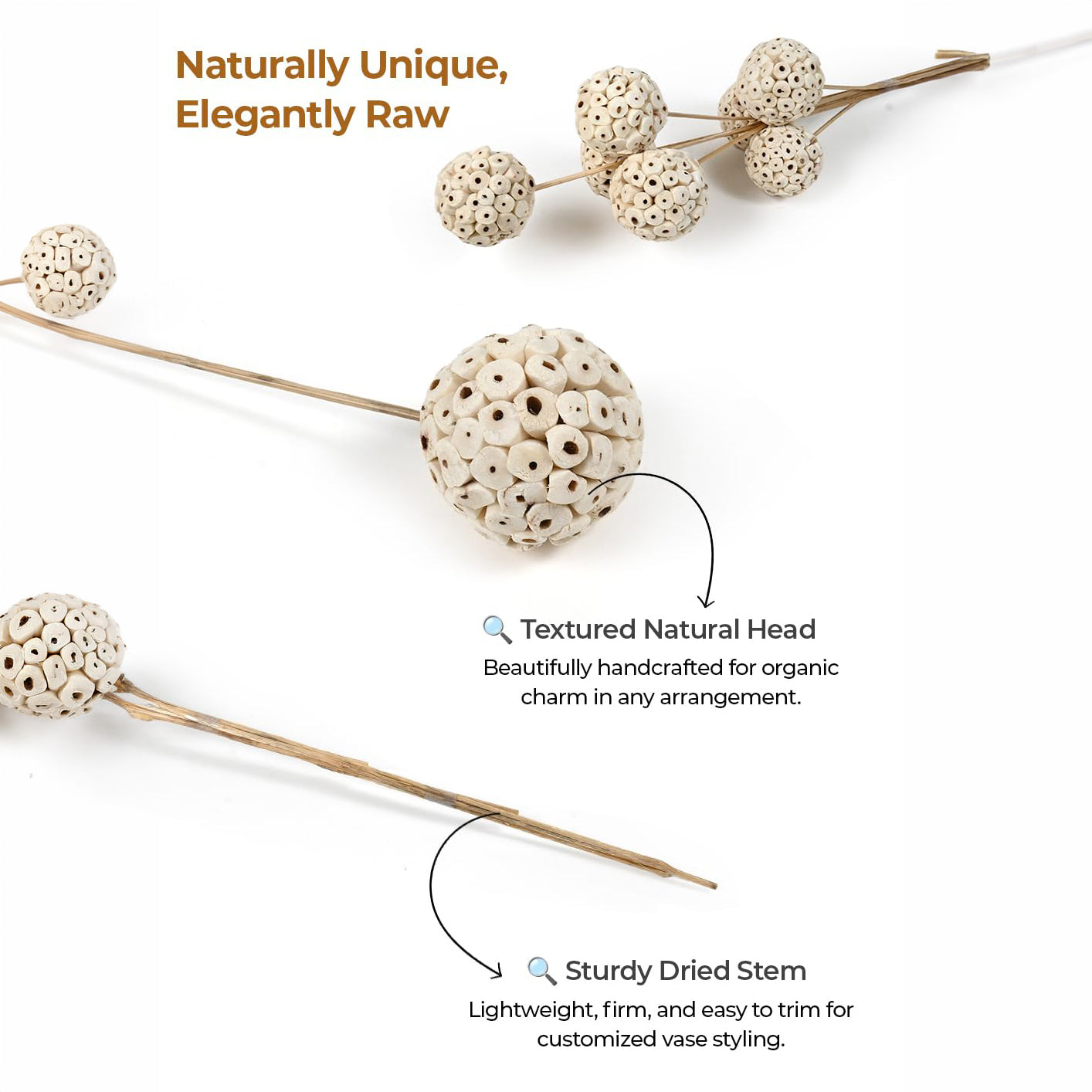 Natural White Dried Flower Bouquet – Mixed Botanical Vase Arrangement